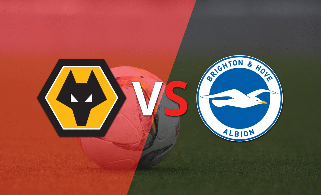 Brighton and Hove visita a Wolverhampton por la fecha 36